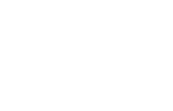 Bridge Group Latam